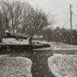 Meet your Posher, Judson